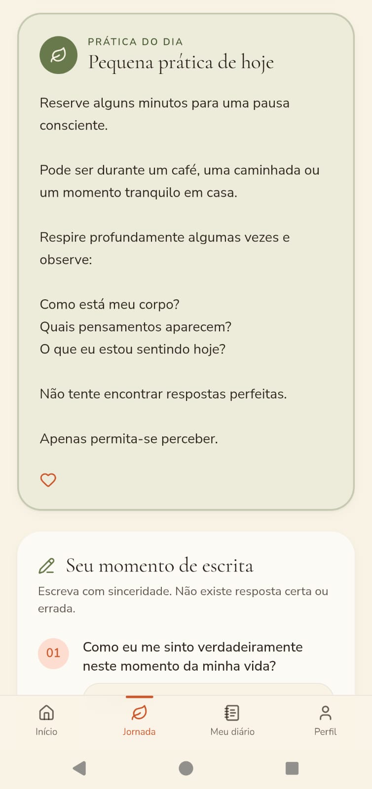 Tela da prática do dia e do momento de escrita